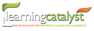 Learning Catalyst is a reputed digital marketing institute in Mumbai